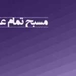 مسبح ماندگار 8 نرم افزار حسابداری طلا و جواهر